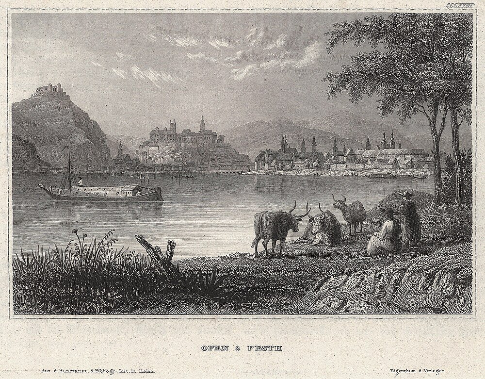 Vintage gravure van Ofen en Pesth stadsgezicht Vintage gravure van Ofen en Pesth met rivier, boten, historische gebouwen, vee en mensen aan de oever
