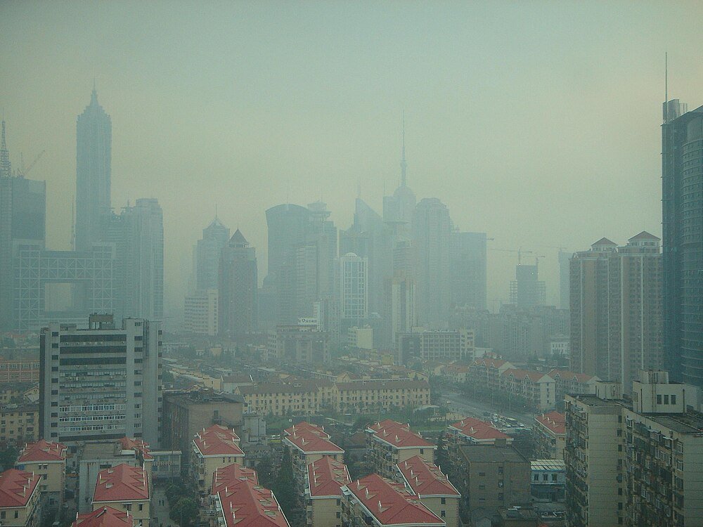 Stadsskyline met hoge gebouwen en huizen met rode daken onder zware smog of mist, die stedelijke vervuiling en dichte architectuur tonen