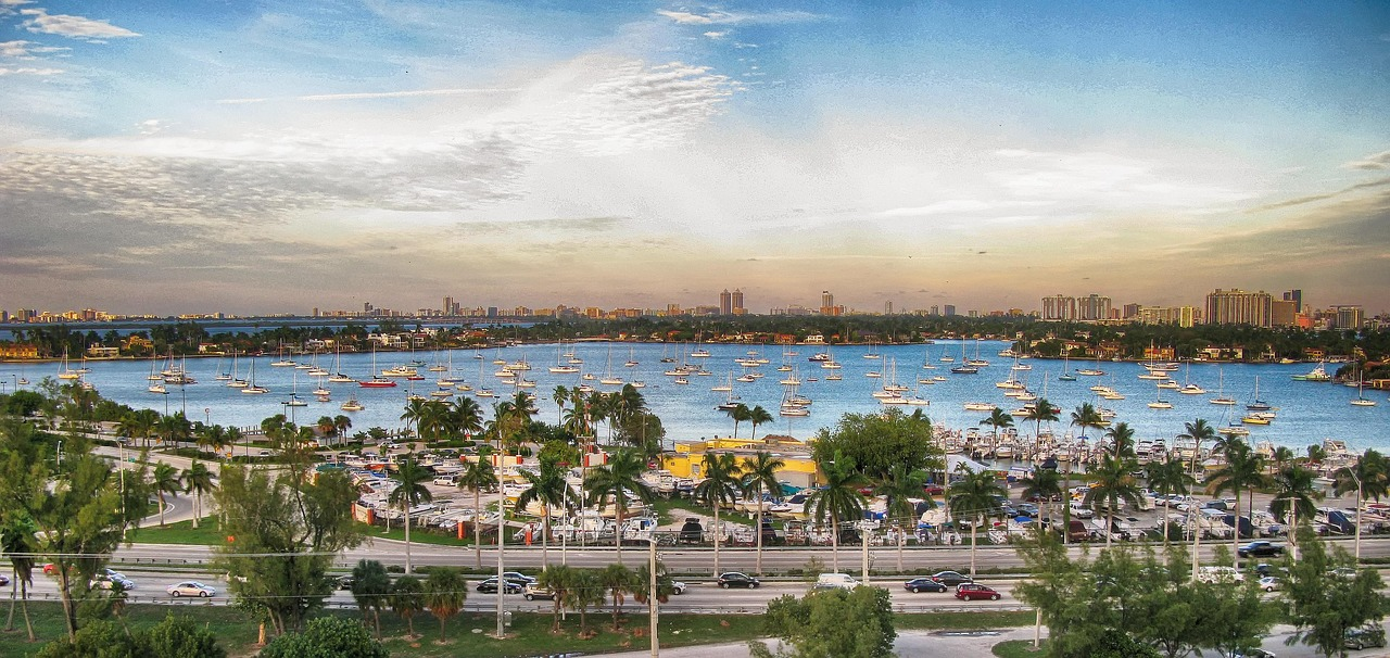 Jachthaven van Miami met zeilboten en stadsgezicht Schilderachtig uitzicht op de jachthaven van Miami met talrijke zeilboten, palmbomen en de skyline van de stad onder een gedeeltelijk bewolkte hemel