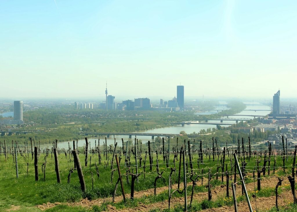 De skyline van Wenen gezien vanaf een wijngaard in de lente, met de Donau en de omringende heuvels